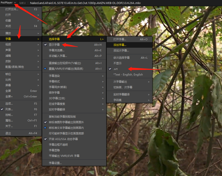 纪录片解说和使用常见问题解答插图6 纪录片常见问题解决方法