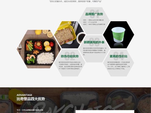 绿色环保的样品包装设计公司静态网站模板