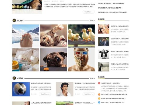 奇趣分享综合趣事百科文章类型discuz模板