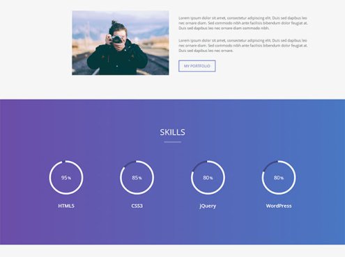 网站开发者求职简历模板