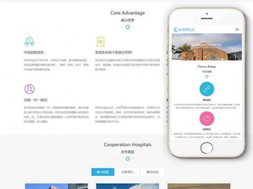 响应式试管婴儿医疗机构网站源码 织梦模板 (自适应手机移动端)
