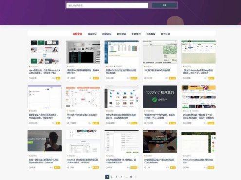 【免费模板】最新ripro日主题模板V9.0修正升级版,两款子主题+插件全打包