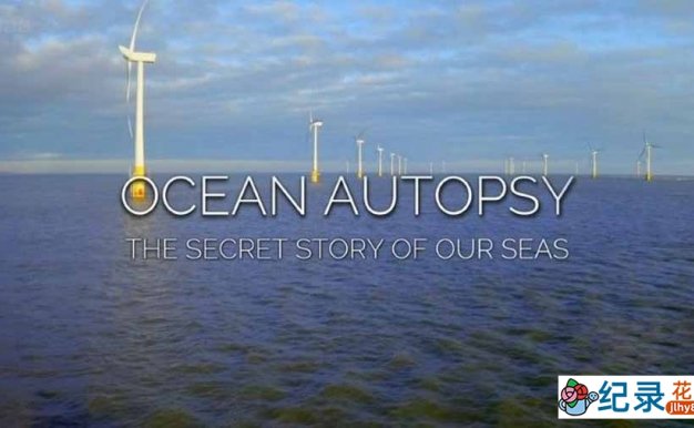 BBC环保纪录片《解剖海洋:我们海洋的秘密 Ocean Autopsy: The Secret Story of Our Seas》全1集中字 纪录片资源百度云盘下载 1080P/MP4/3.83G
