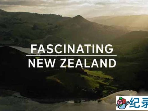 自然风光纪录片《迷人的新西兰 Fascinating New Zealand》全1集原版无字 1080P纪录片资源百度云盘下载
