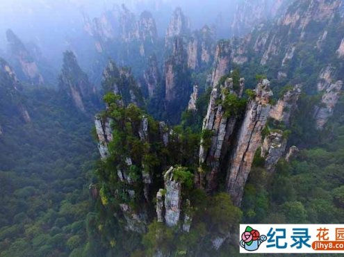 自然风光纪录片《旅游圣地张家界》全1集 纪录片资源百度云盘下载 1080/MKV/4.3G