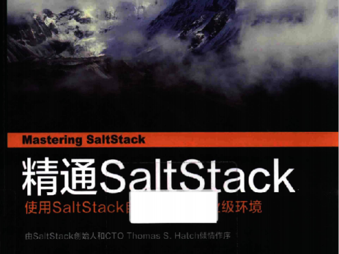 精通SaltStack_运维教程