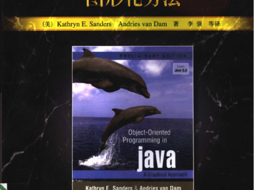 Java 面向对象程序设计：图形化方法