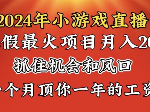2024年寒假爆火项目,小游戏直播月入20w+,学会了之后你将翻身
