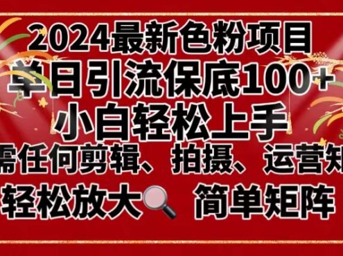 2024最新换脸项目,小白轻松上手,单号单月变现3W+,可批量矩阵操作放大