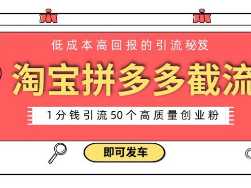 淘宝拼多多电商平台截流创业粉 只需要花上1分钱,长尾流量至少给你引流50粉