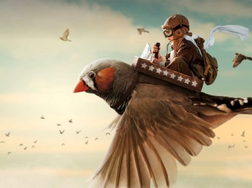 Adobe CC 2017 Win系列软件 免费下载