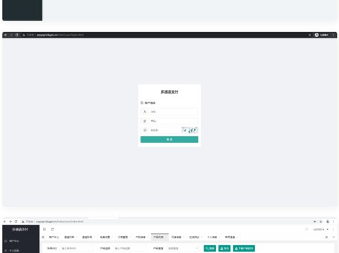 全新二开游戏支付通道/话费/电网、抖音、快手、紫水晶带云端源码
