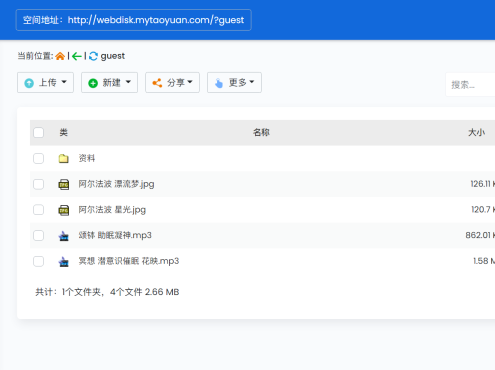 [.NET]桃源网络硬盘 v7.4