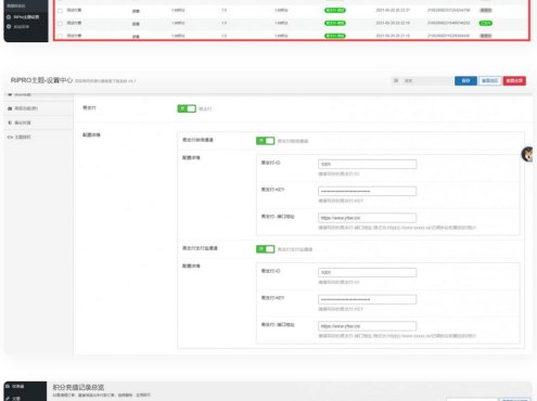 RIPRO/RiPlus/RiPro-V2/Rizhuti-V2易支付接口插件