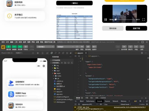 短视频去水印-刷步数-别踩鸡块合集小程序源码带流量主
