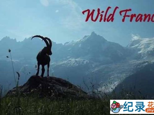 法国自然生态纪录片《野性法国 Wild France》全2集 720P/1080i高清纪录片资源百度云下载