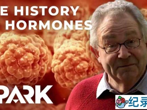 BBC生命探索纪录片《荷尔蒙的神奇世界 The Fantastical World Of Hormones》全1集 720P/1080i高清纪录片百度云下载
