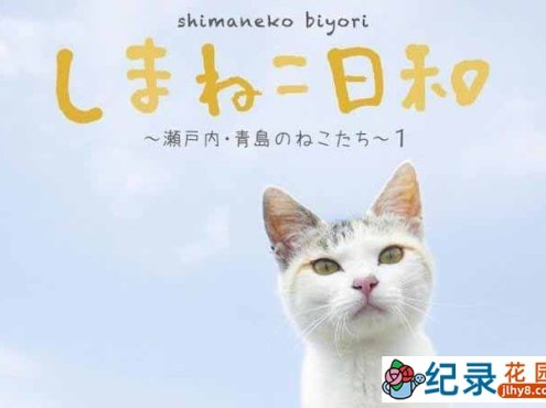 萌宠纪录片《俺是猫，欢迎来俺家玩》全1集 720P/1080i高清纪录片资源百度云盘下载