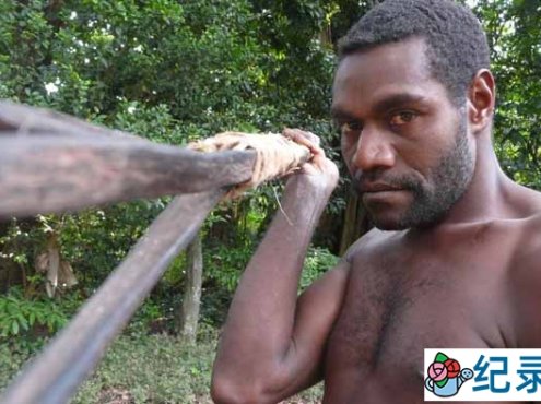 国家地理狩猎纪录片《猎人传奇/猎人族 Man Hunt》全7集 720P/1080i高清纪录片百度云下载