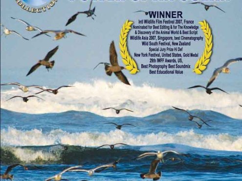 探索频道自然地理纪录片《赤道:海洋的力量 Equator:Power of an Ocean》全1集 720P/1080高清纪录片百度云