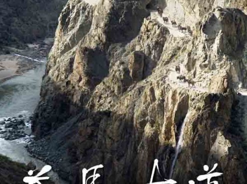 NHK/KBS历史人文纪录片《茶马古道-另一条丝绸之路》全2集 720P/1080I高清纪录片资源百度云盘下载