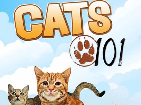 喵星人百科纪录片《猫咪101 Cats 101》第1季全5集中字 纪录片解说素材百度云盘下载 1080/MP4/7.03G