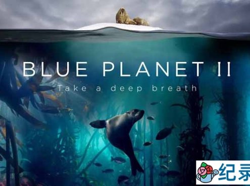 BBC海洋生态纪录片《蓝色星球The Blue Planet》第2季 720P/1080i高清纪录片百度云下载