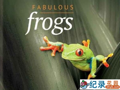 BBC自然生物纪录片《神奇的青蛙 Fabulous Frogs》全1集 720P/ 1080i高清纪录片百度云