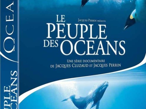 海洋生物纪录片《海洋王国 Kingdom of the Oceans》全4集 720P/1080i高清纪录片资源百度云盘下载
