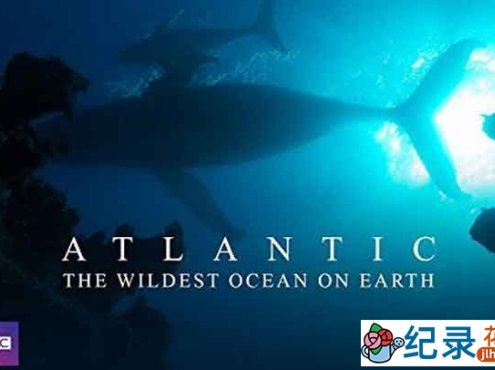 BBC海洋生态纪录片《大西洋:地球最狂野的海洋 Atlantic: The Wildest Ocean on Earth》全3集 720P/1080i高清纪录片百度云