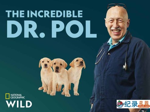 国家地理妙手兽医纪录片《动物神医 The Incredible Dr.Pol》第5季全10集中字 纪录片解说素材百度云盘下载 1080/MKV/25.9G