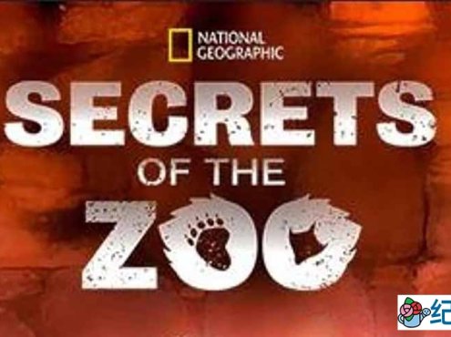 国家地理救治动物纪录片《动物园秘辛 Secrets of the Zoo》 第1季全6集 纪录片解说素材百度云盘下载 1080/MKV/19.1G