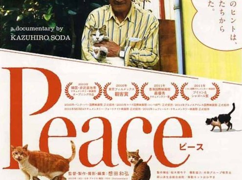 日本社会人文纪录片《完全和平手冊 Peace》全1集中字 纪录片资源百度云盘下载 720P/MP4/907M