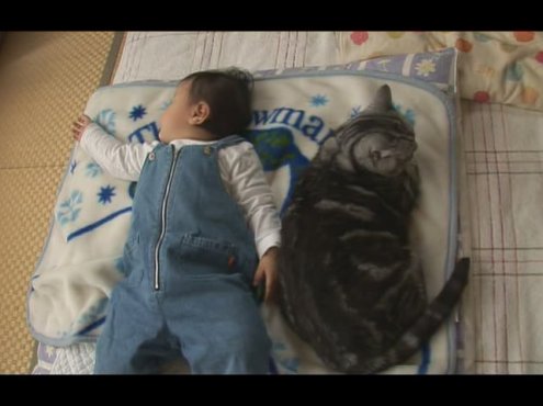 猫咪物语4 にゃんこ THE MOVIE4