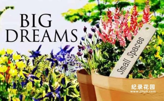 BBC园艺改造纪录片《小花园大梦想 Big Dreams Small Spaces》第1季中字 纪录片解说素材百度云盘下载 1080P/MKV/15.5G