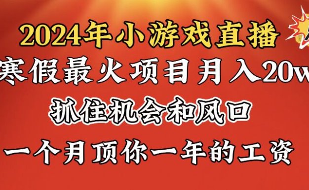 2024年寒假爆火项目,小游戏直播月入20w+,学会了之后你将翻身