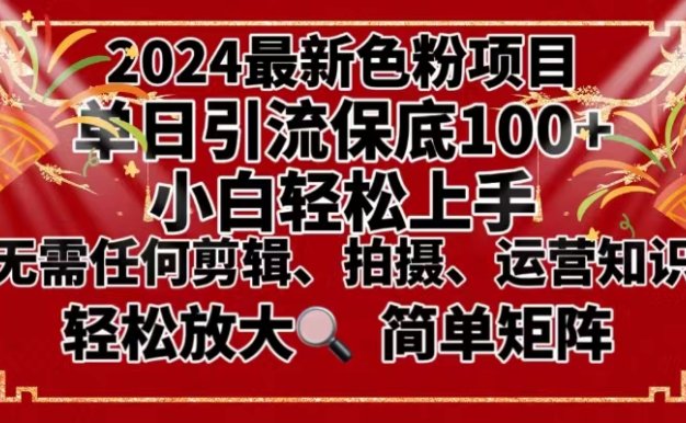 2024最新换脸项目,小白轻松上手,单号单月变现3W+,可批量矩阵操作放大