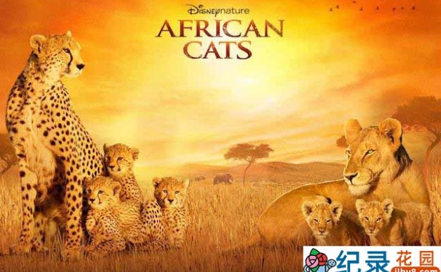 迪士尼自然生物纪录片《非洲猫科 African Cats 2011》全1集 720P/1080i高清纪录片资源百度云盘下载