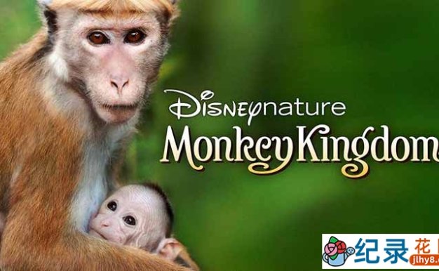 迪士尼自然生物纪录片《猴子王国 Monkey Kingdom 2015》全1集 720P/1080i高清纪录片资源百度云盘下载