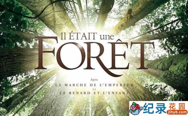 法国自然生态纪录片《从前有座森林 Once Upon a Forest》全1集 720P/1080i高清纪录片百度云下载