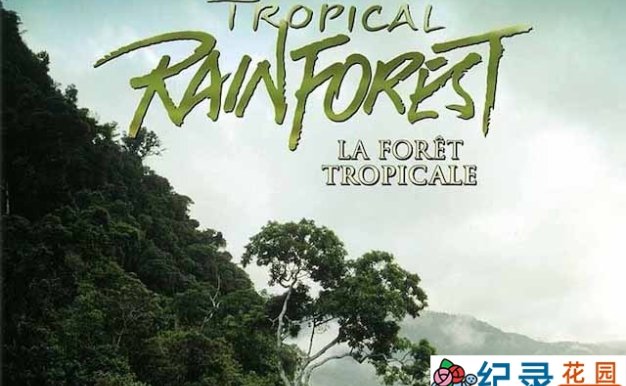 IMAX自然生态纪录片《热带雨林 Tropical Rainforest》全1集中字 TS/蓝光高清纪录片资源百度云盘下载