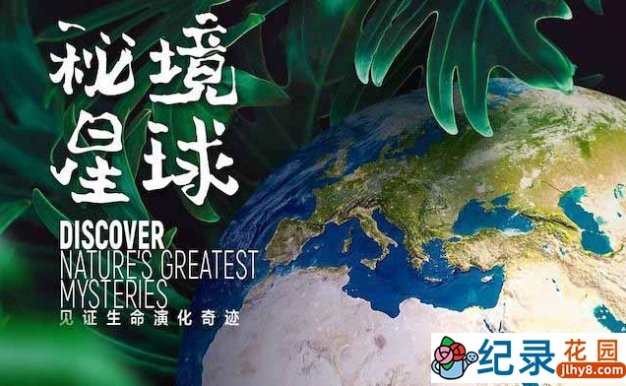 生命演化纪录片《秘境星球 Mysterious Plane》全5集 720P/1080i高清纪录片资源百度云盘下载