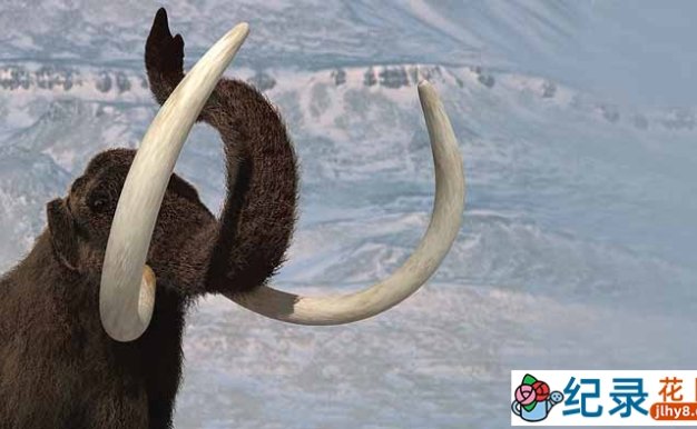 BBC史前时代纪录片《野性新世界 Wild New World》全6集 标清纪录片百度云下载