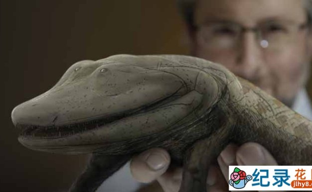 PBS生命探索纪录片《从鱼进化而来的你 Your Inner Fish》全3集 720P/1080i高清纪录片百度云下载