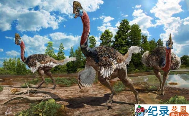 国家地理生物进化纪录片《演化足迹 迅猛火鸡 Dino Turkey》全1集 720P/1080i高清纪录片百度云下载