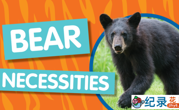 国家地理生物进化纪录片《演化足迹 熊族崛起 Bear Necessities》全1集 720P/1080i高清纪录片百度云下载
