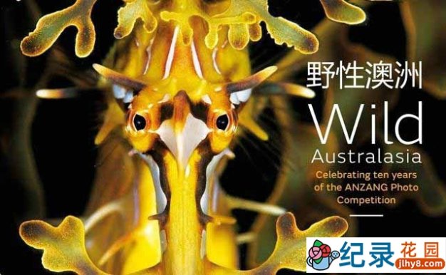 BBC自然生态纪录片《野性澳洲 Wild Australasia 2003》全6集 标清纪录片资源百度云盘下载