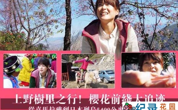 NHK樱花起源纪录片《樱花前线大追迹》全1集中字 720P/1080i高清纪录片资源百度云盘下载