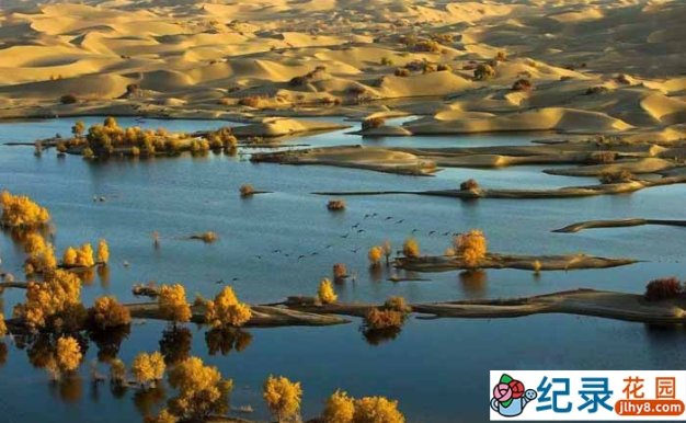 CCTV央视人文地理纪录片《塔里木河 Tarim river》全6集 720P/1080i高清纪录片百度云下载