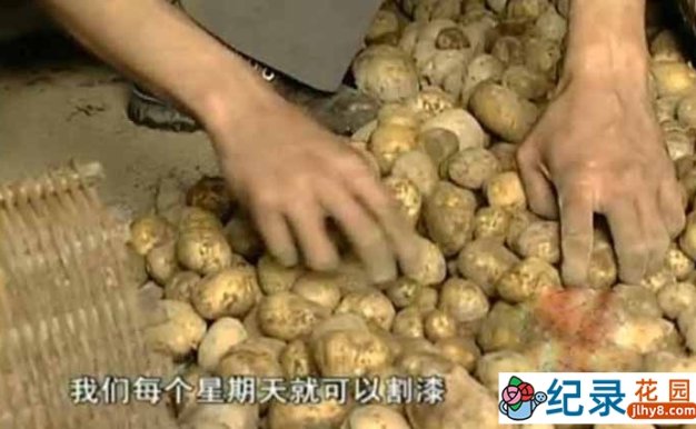 社会人文纪录片《中国民间生存实录 漆》全1集 标清纪录片资源百度云盘下载